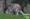 Ferienzoo im Zoo Duisburg