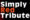 SIMPLY RED Tribute