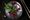 Betreutes Trinken - Lust auf Gin -