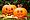 Pumkin Painting Date
