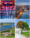 Smart City - DU gestaltest Duisburg!