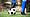 Fußballbilder-Tauschbörsen | Vierlinden