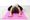 Hatha Yoga Mittelstufe