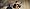 AfterWork-Classics: STEFAN GRASSE GITARREN-KONZERT