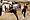 Tanzworkshop „Move & Movie“