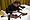 Tag der Handschrift
